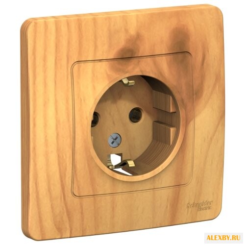 Розетка Schneider Electric