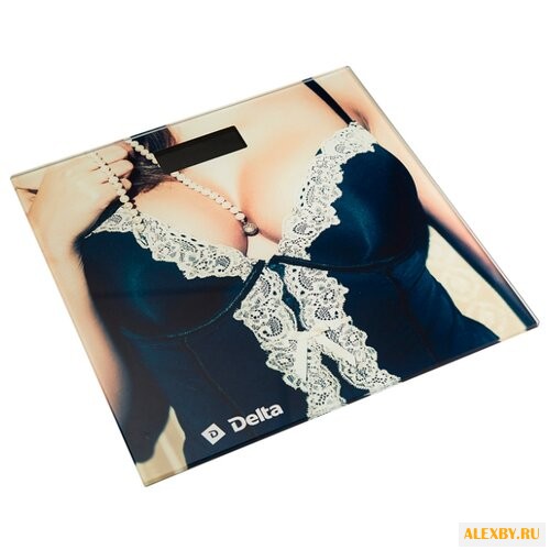 Весы DELTA D-9303