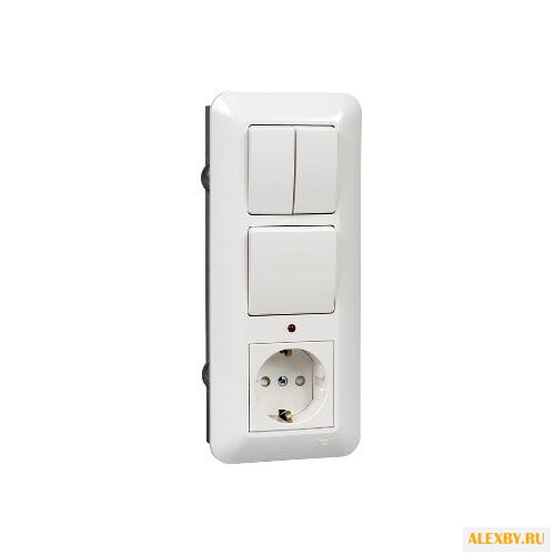 Блок комбинированный Schneider