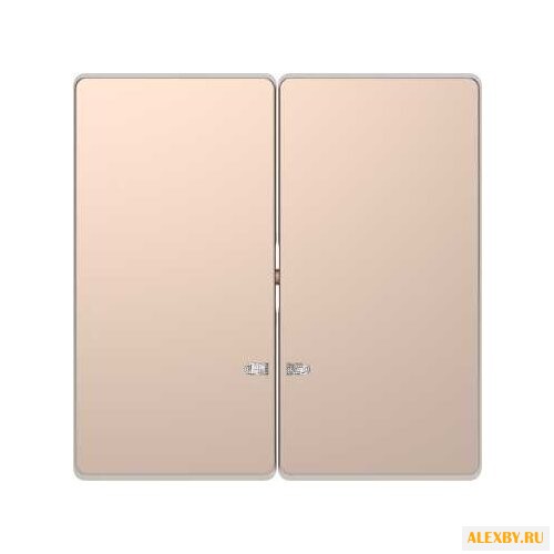 Накладка Schneider Electric