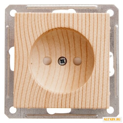 Розетка Schneider Electric