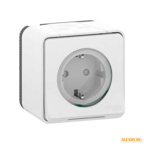 Розетка Schneider Electric