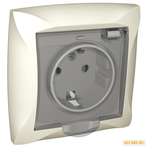 Розетка Schneider Electric