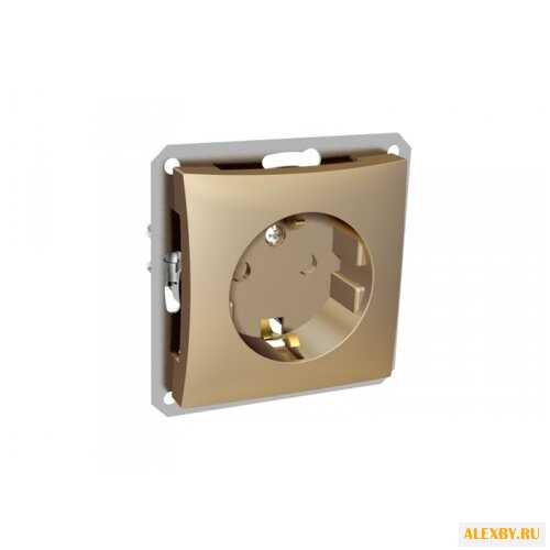 Розетка Schneider Electric