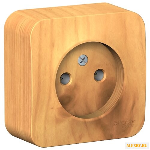 Розетка Schneider Electric
