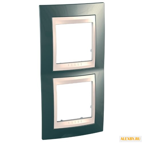 Рамка 2п Schneider Electric