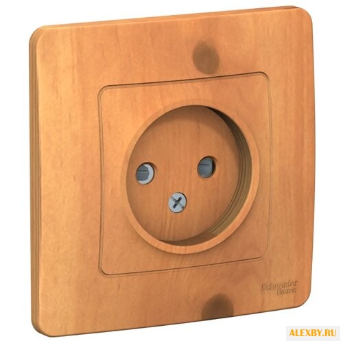 Розетка Schneider Electric