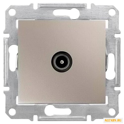 Антенное гнездо Schneider