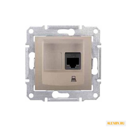 Розетка для интернета