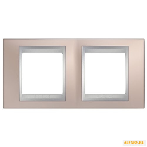 Рамка 2п Schneider Electric
