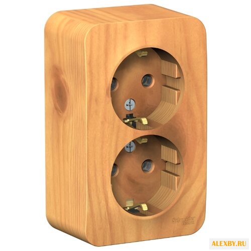 Розетка Schneider Electric