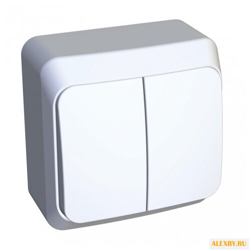 Выключатель 2х1-полюсный