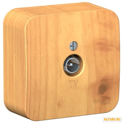 Антенное гнездо Schneider