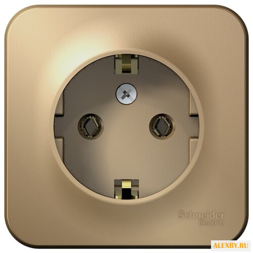 Розетка Schneider Electric
