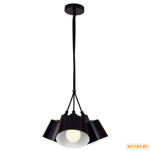 Favourite North Tulip 1680-3P