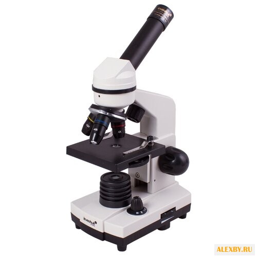 Микроскоп LEVENHUK Rainbow D2L