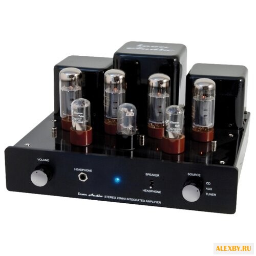 Интегральный усилитель Icon