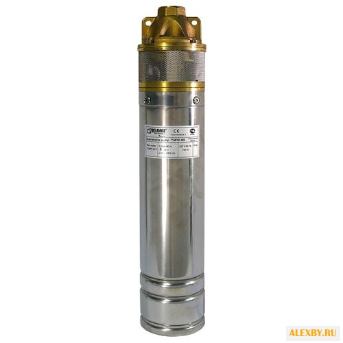 Насос BELAMOS TM10-100