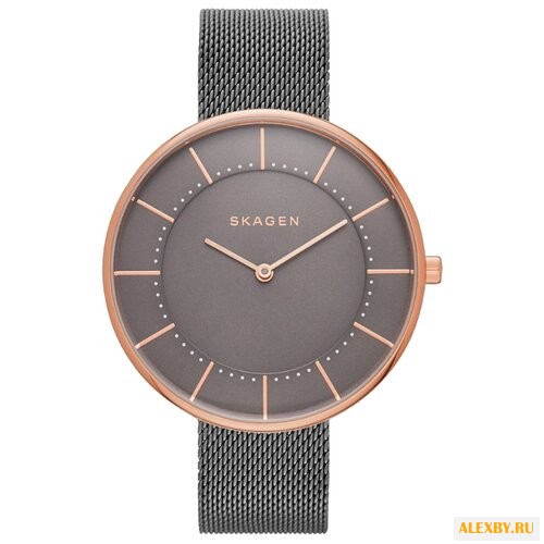 Наручные часы SKAGEN SKW2584