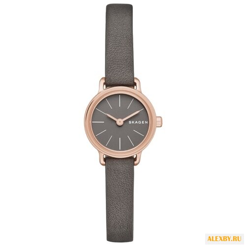 Наручные часы SKAGEN SKW2359