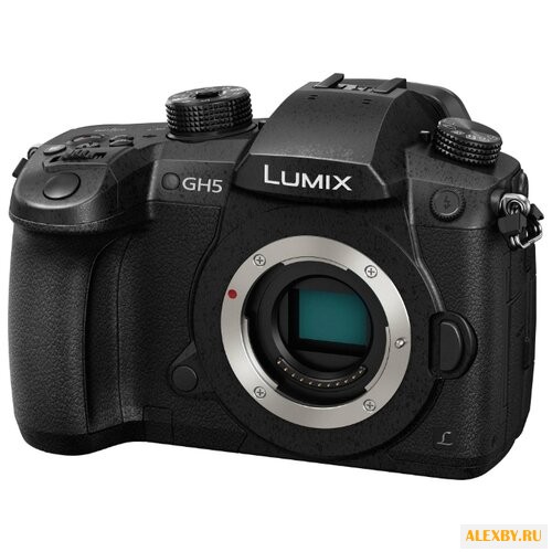Panasonic Lumix GH5 Body
