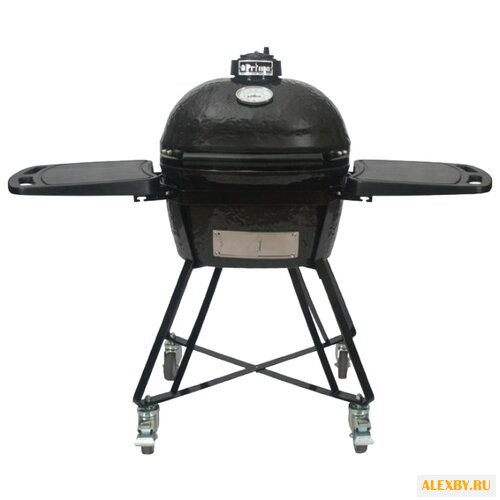 Гриль Primo Junior All in One