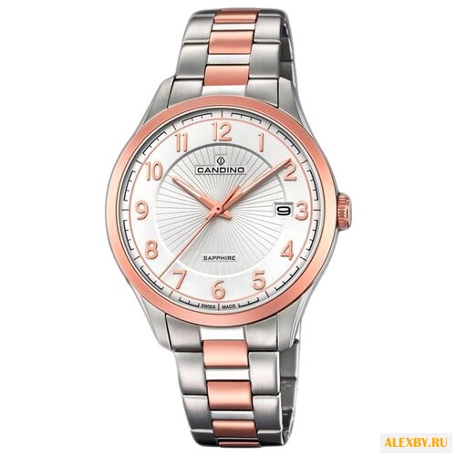 Наручные часы CANDINO C4609_1