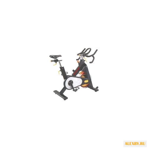 Спин-байк V-Sport Premier Prof-M