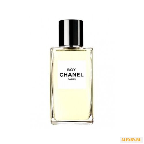 Chanel Boy Chanel
