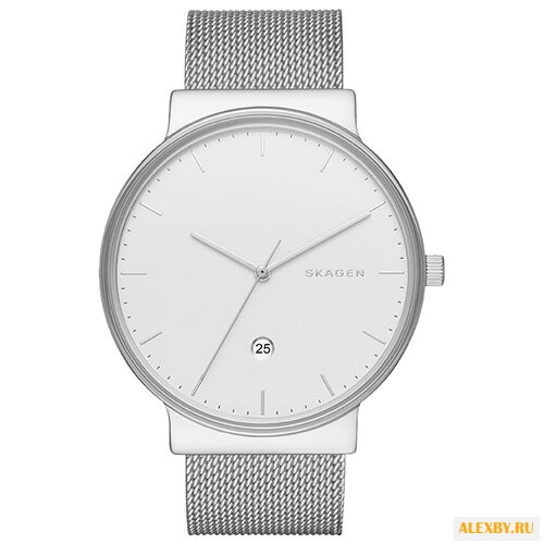 Наручные часы SKAGEN SKW6290