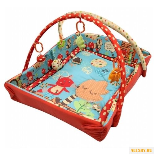 Развивающий коврик Roxy kids