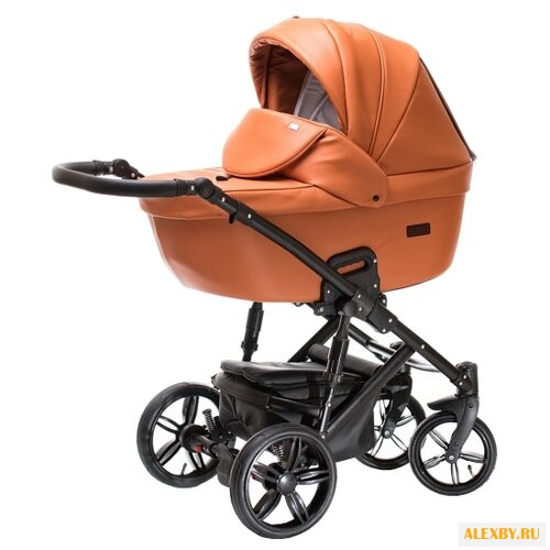 Универсальная коляска AGIO