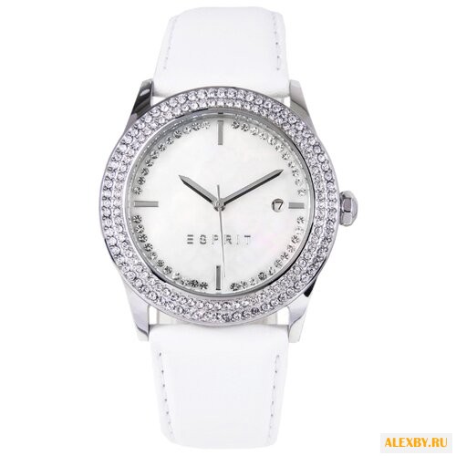 Наручные часы ESPRIT ES107452001