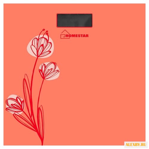 Весы HOMESTAR HS-6001A