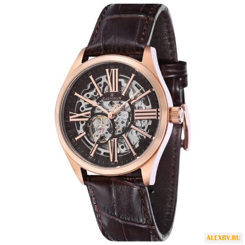 Наручные часы EARNSHAW ES-8037-05