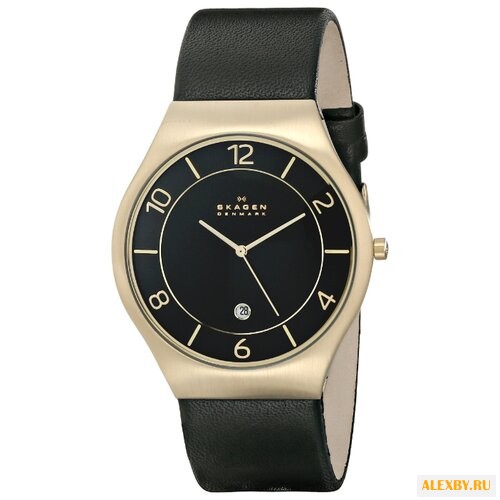 Наручные часы SKAGEN SKW6145
