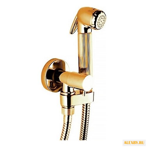 Гигиенический душ Bossini