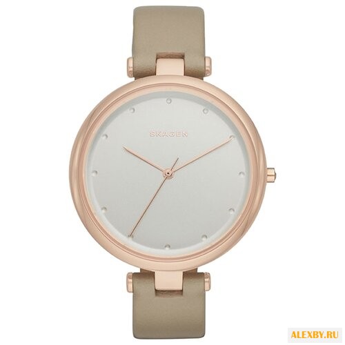 Наручные часы SKAGEN SKW2484