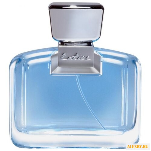 Ajmal Entice for Him