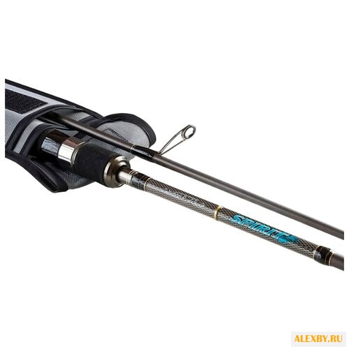 Удилище спиннинговое Black Hole