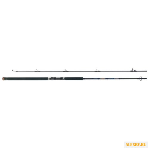 Удилище спиннинговое tailwalk