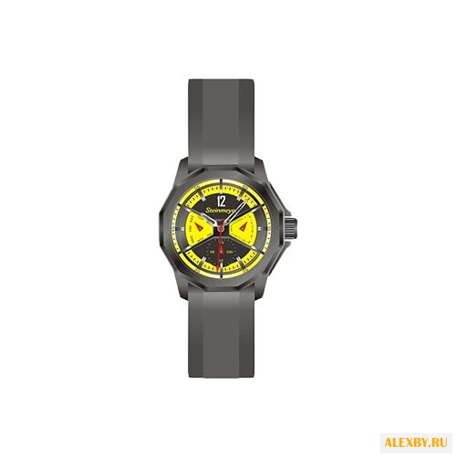 Наручные часы Steinmeyer S