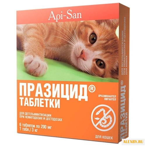 Api-San Празицид таблетки для