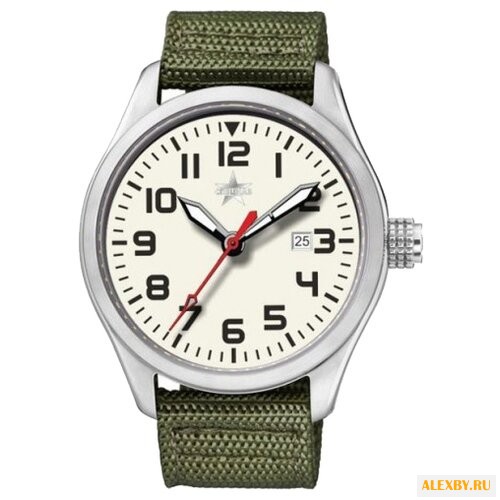 Наручные часы СПЕЦНАЗ С2864316-09
