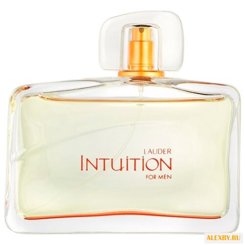 Estee Lauder Intuition for Men