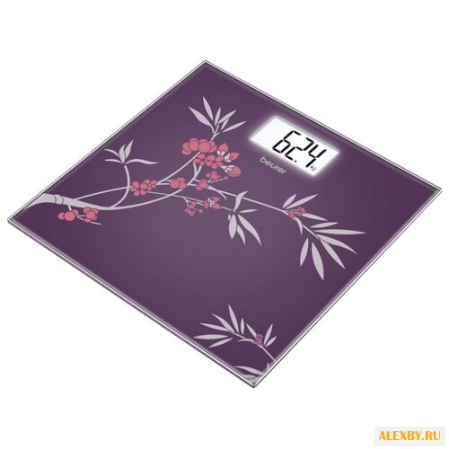Весы Beurer GS 207 Spring