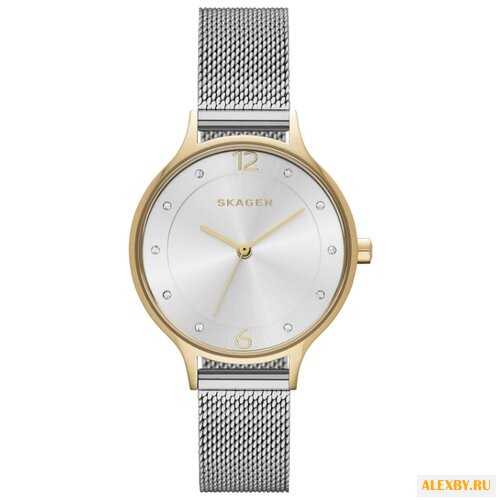 Наручные часы SKAGEN SKW2340