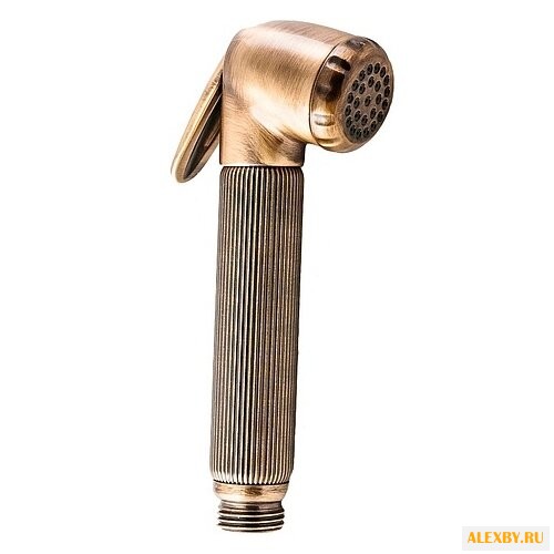 Лейка для гигиенического душа