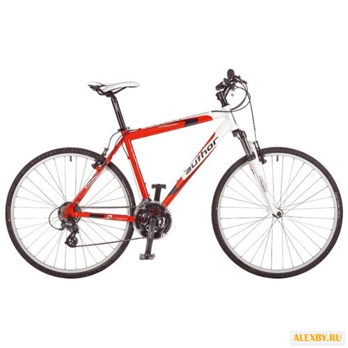 Горный гибрид Author Horizon 2013
