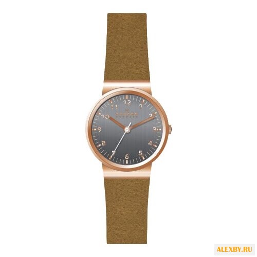 Наручные часы SKAGEN SKW2189